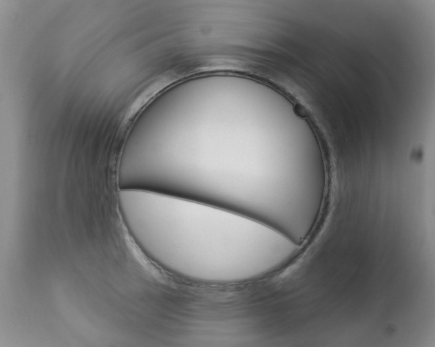 X0000112861137200908211049