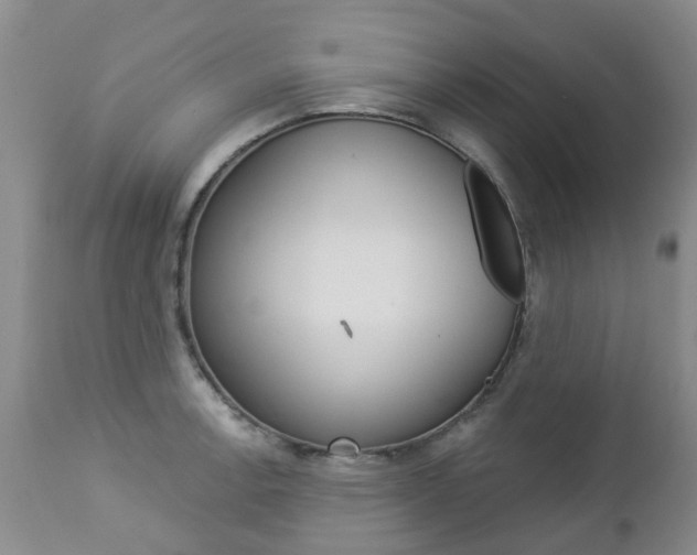 X0000112861138200908211049