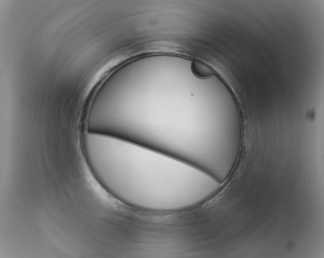 X0000112861139200908211049