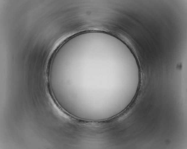 X0000112861141200908211049