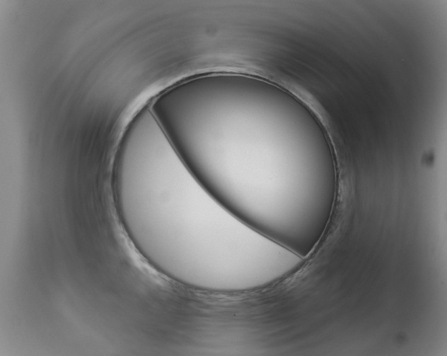 X0000112861144200908211049