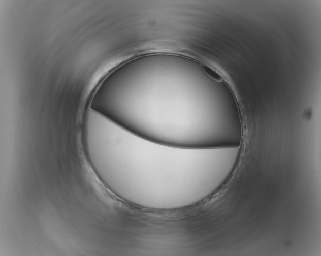 X0000112861146200908211049