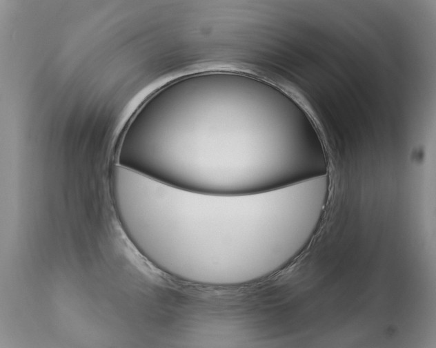 X0000112861148200908211049