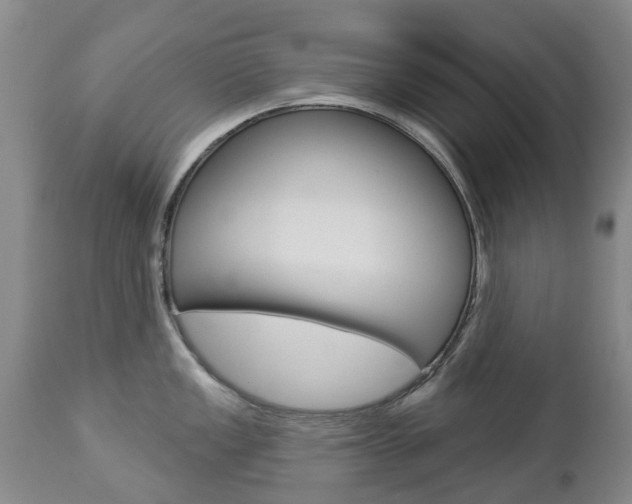 X0000112861149200908211049