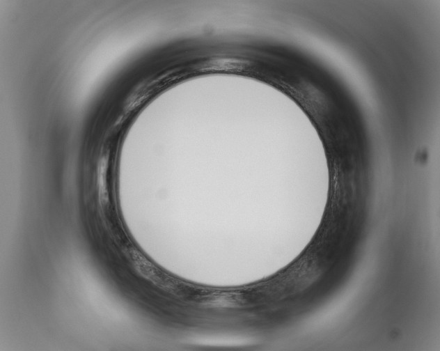 X0000112861150200908211049