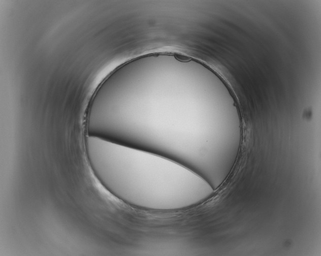 X0000112861151200908211049