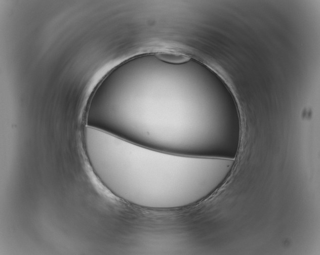 X0000112861152200908211049