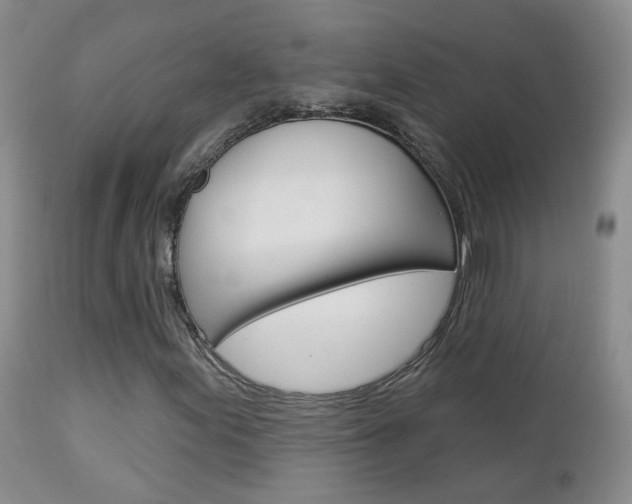 X0000112861155200908211048