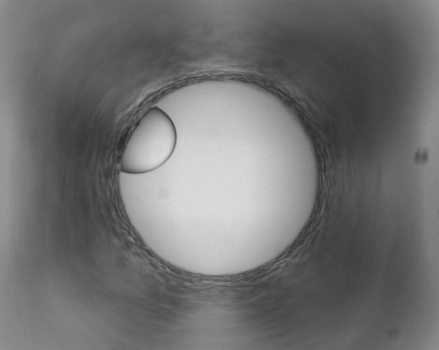 X0000112861157200908211048