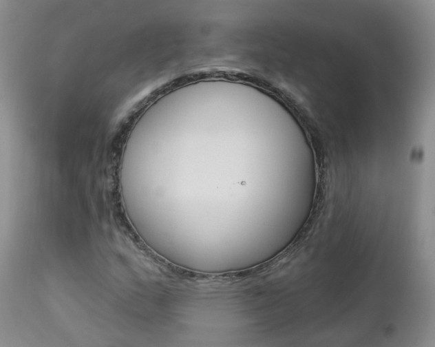 X0000112861159200908211048