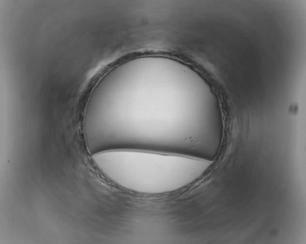X0000112861160200908211048