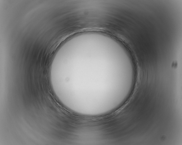 X0000112861161200908211048