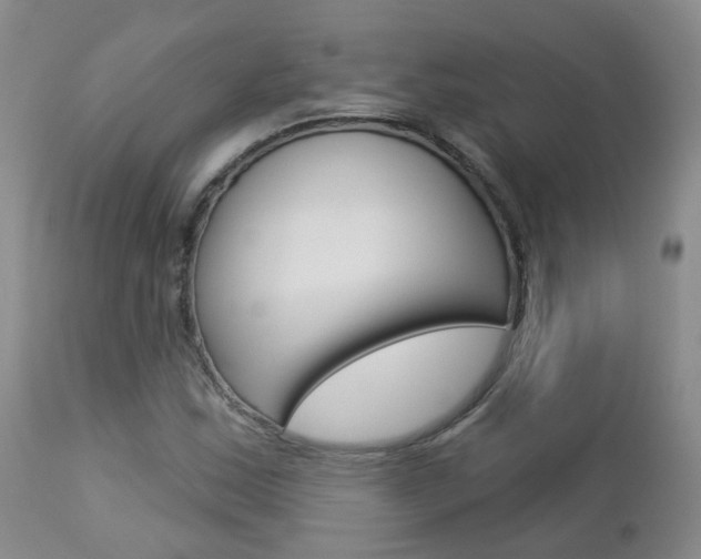 X0000112861163200908211048