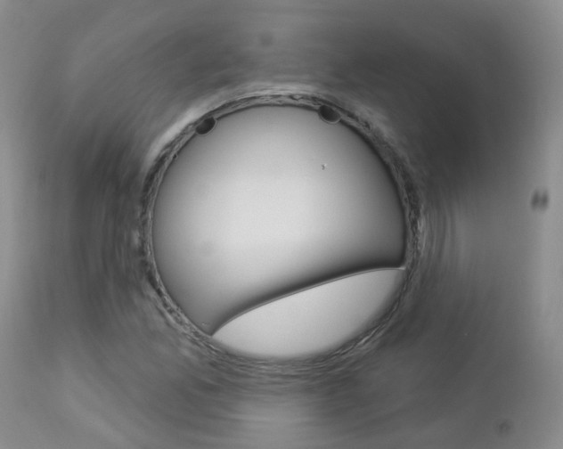 X0000112861165200908211048