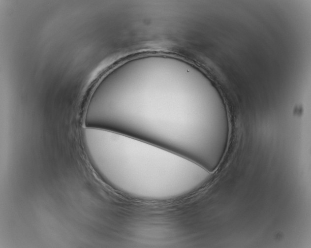 X0000112861168200908211048