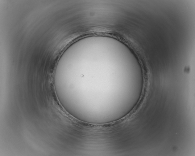 X0000112861169200908211048
