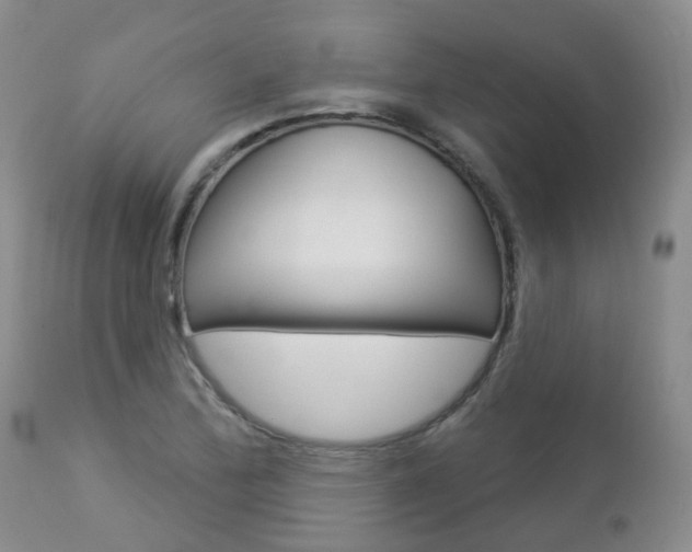 X0000112861172200908211048