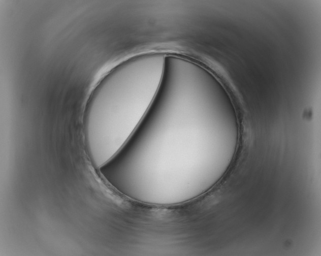 X0000112861176200908211048