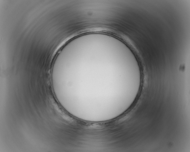 X0000112861178200908211048