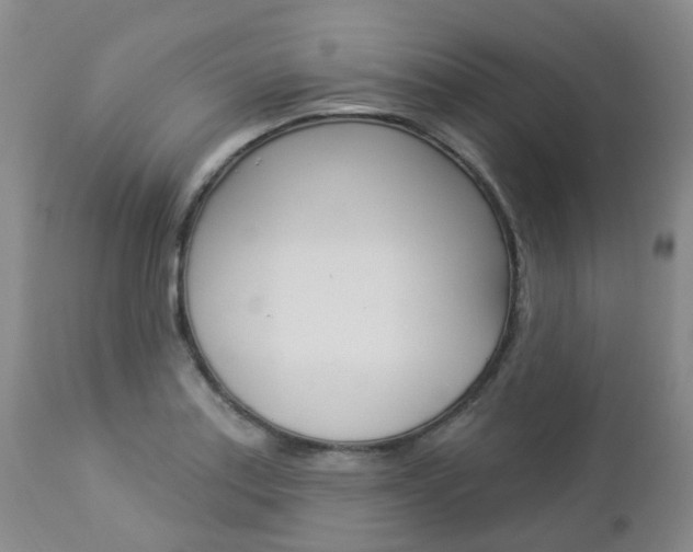 X0000112861179200908211048
