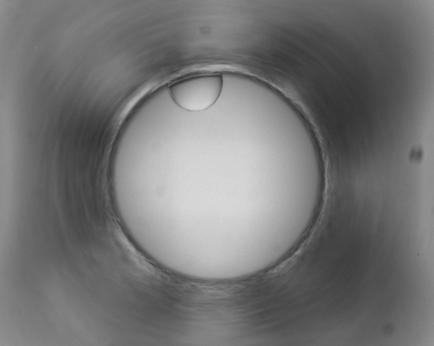 X0000112861181200908211048