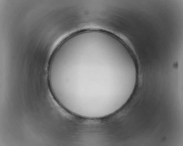 X0000112861183200908211048