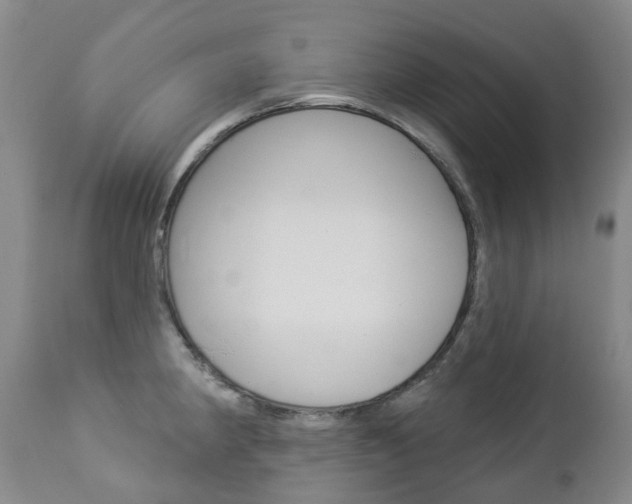 X0000112861190200908211048