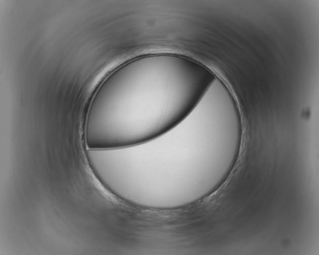 X0000112861197200908211048