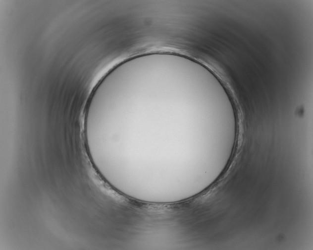 X0000112861198200908211048