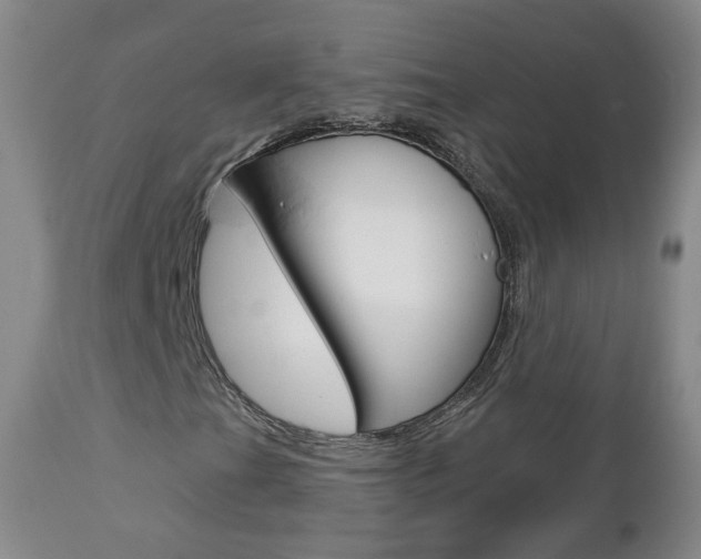 X0000112861201200908211047