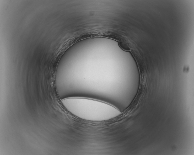 X0000112861202200908211047