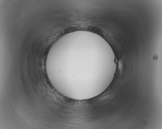 X0000112861203200908211047