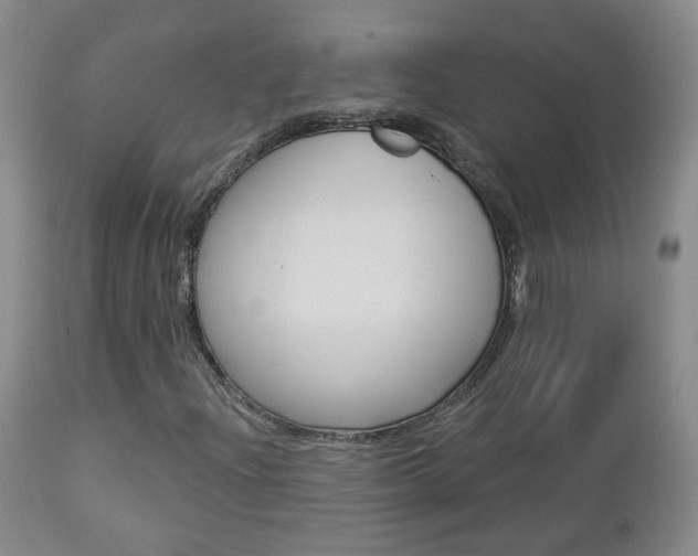 X0000112861204200908211047