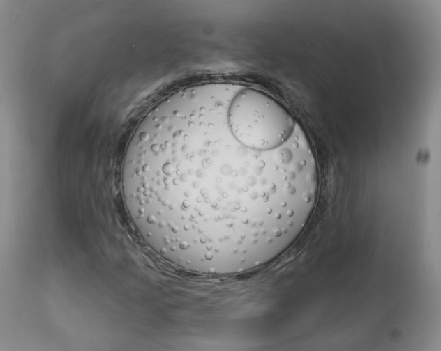 X0000112861205200908211047