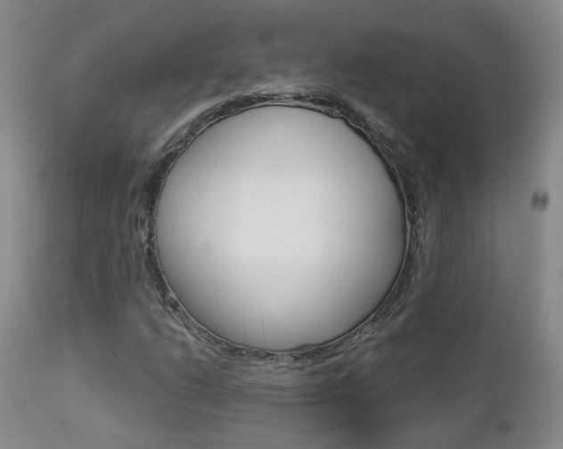 X0000112861206200908211047