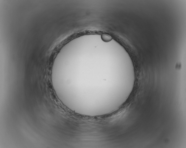 X0000112861207200908211047