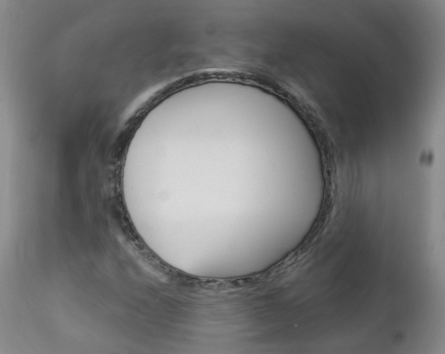 X0000112861208200908211047