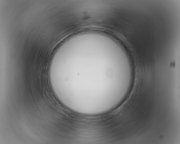 X0000112861209200908211047