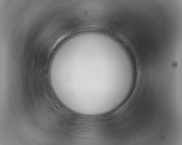 X0000112861210200908211047