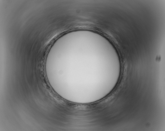 X0000112861211200908211047