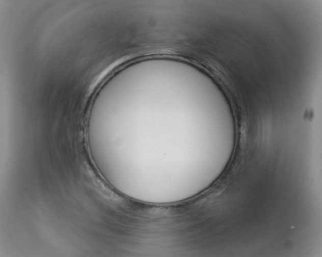 X0000112861212200908211047