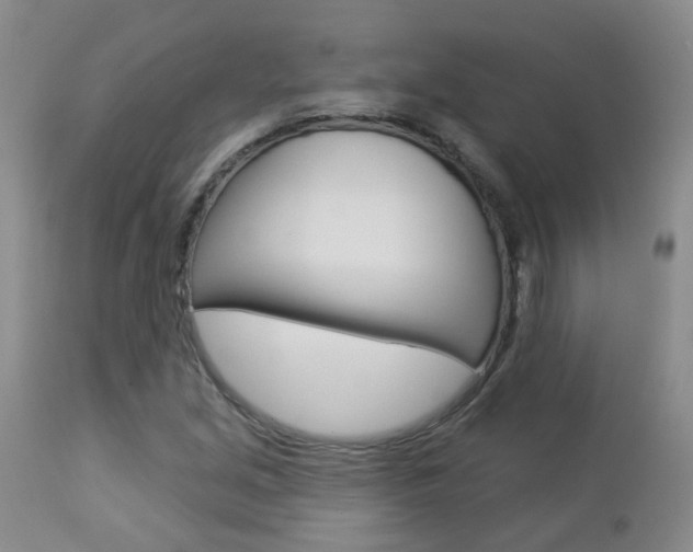 X0000112861213200908211047