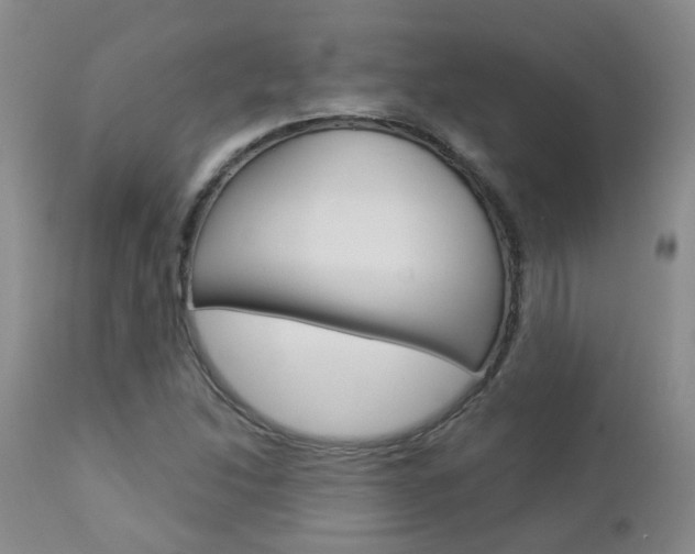 X0000112861214200908211047