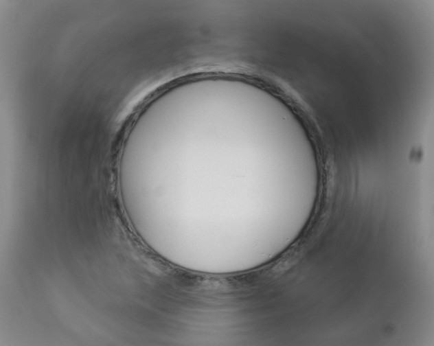 X0000112861215200908211047