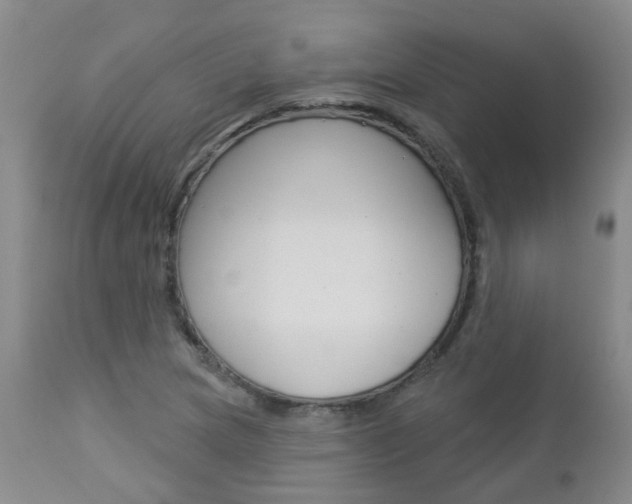 X0000112861217200908211047