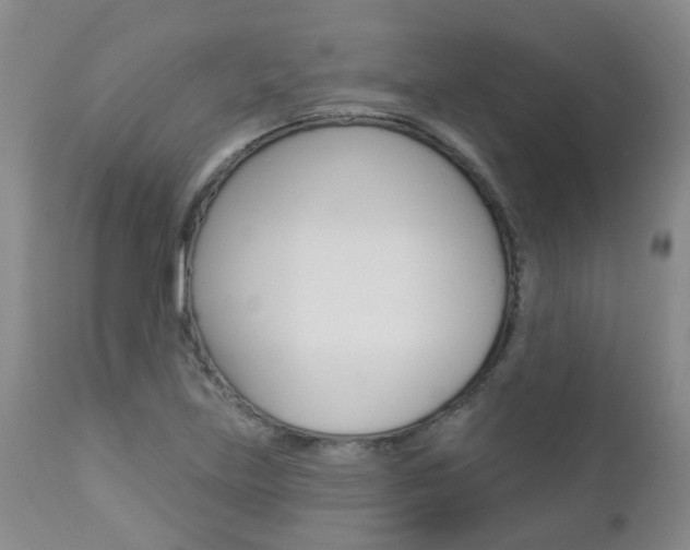 X0000112861219200908211047