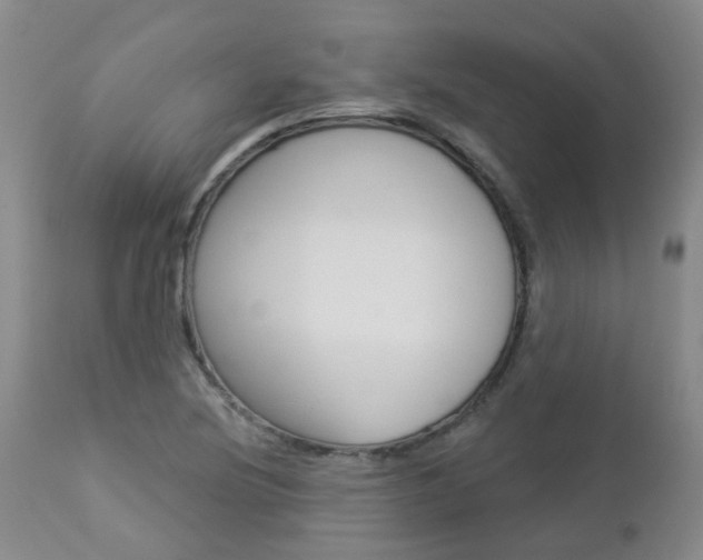 X0000112861220200908211047