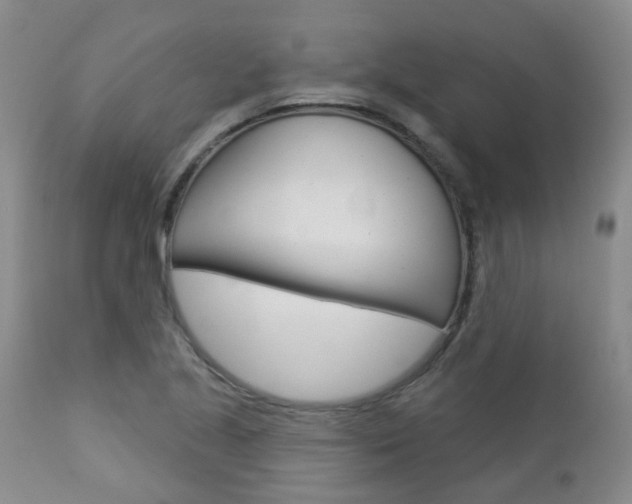X0000112861221200908211047