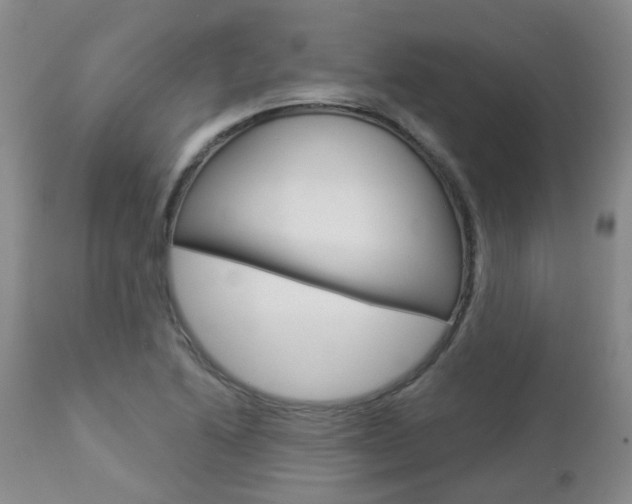 X0000112861222200908211047