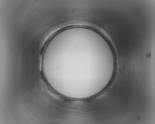 X0000112861223200908211047